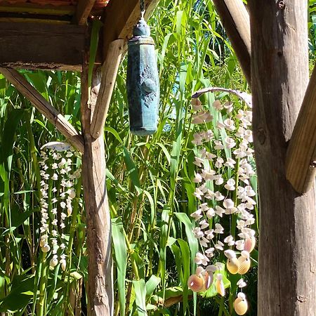 Hoeve La Cascina ダインゼ エクステリア 写真